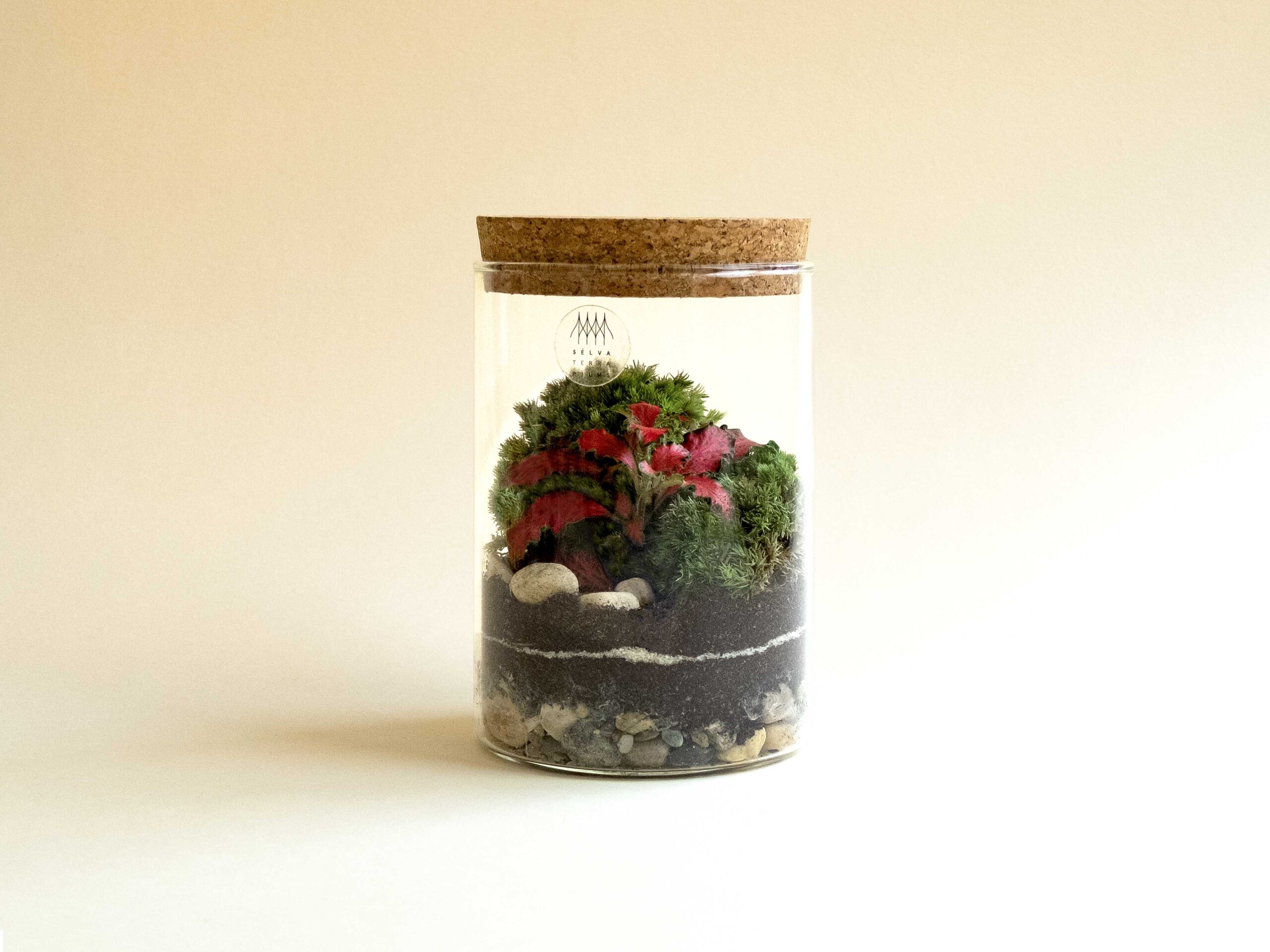 Terrarium Grande mix piante verdi